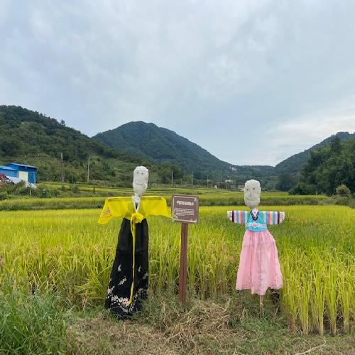좋은 계절 가을, 마음 휴(休) 프로그램 시작했습니다.